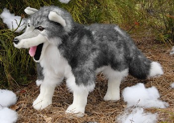 TIMBER WOLF STANDING (image for) TIMBER WOLF STANDING